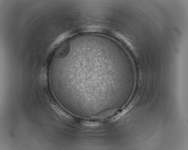 X0000111351403200907171133