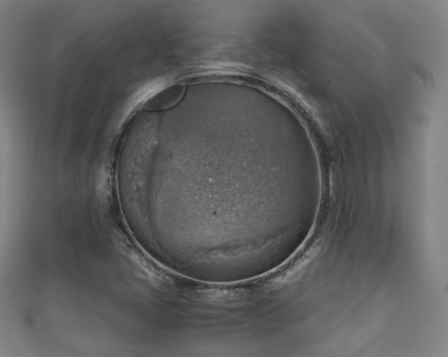 X0000111351405200907171133