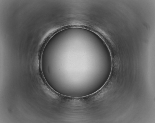 X0000111351408200907171133