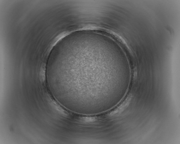 X0000111351409200907171133