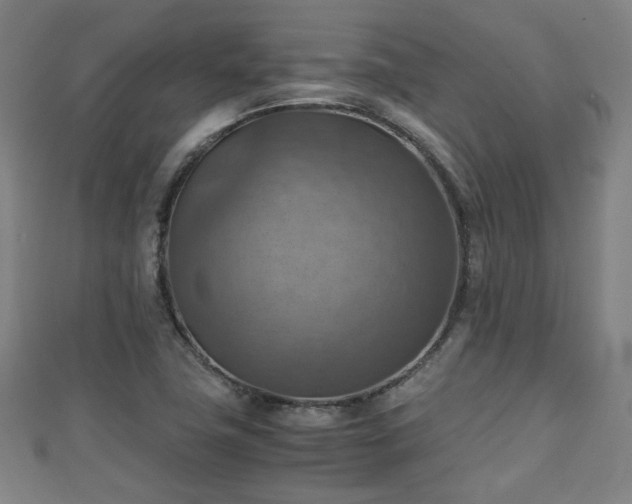 X0000111351411200907171133