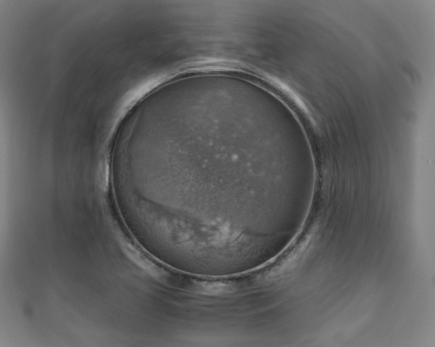 X0000111351413200907171133