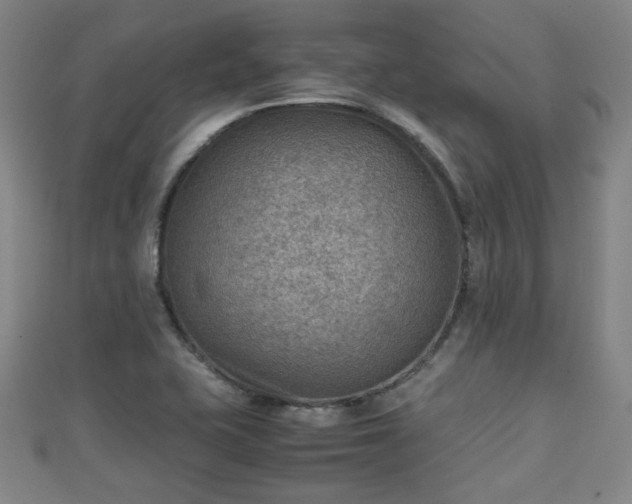 X0000111351415200907171133