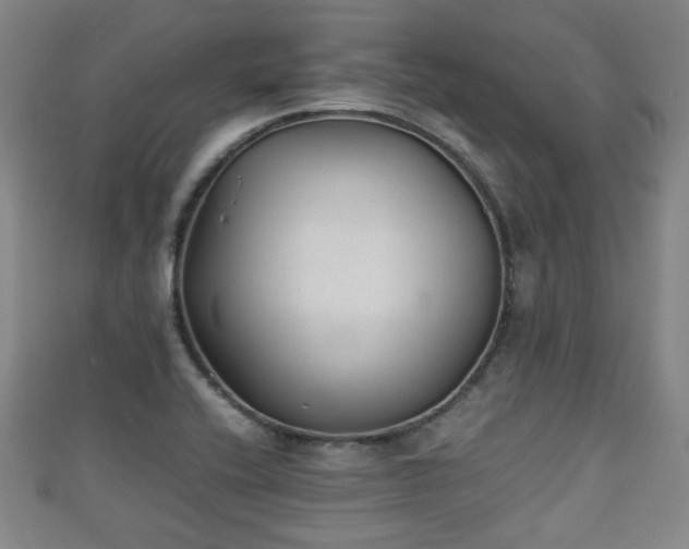 X0000111351416200907171133