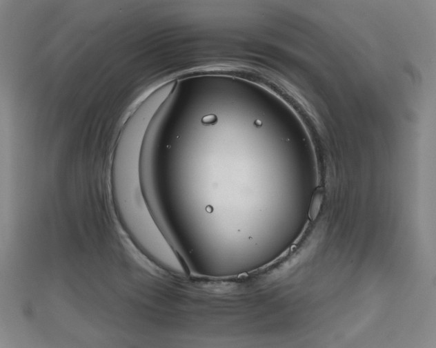 X0000111351417200907171133