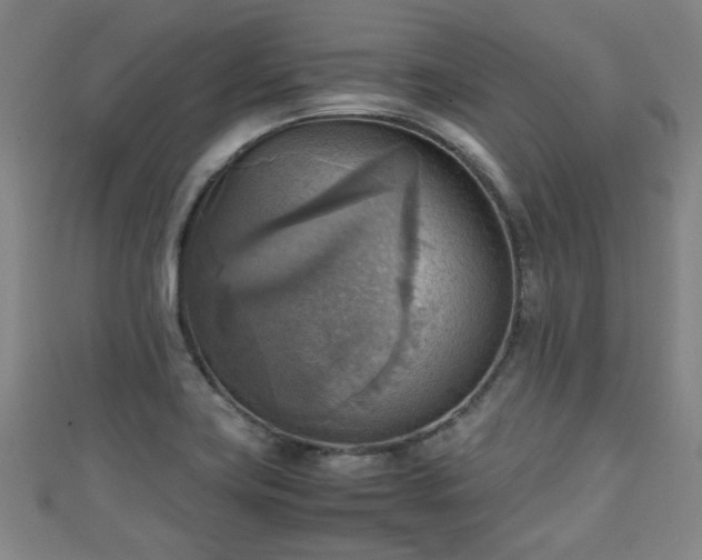 X0000111351419200907171134