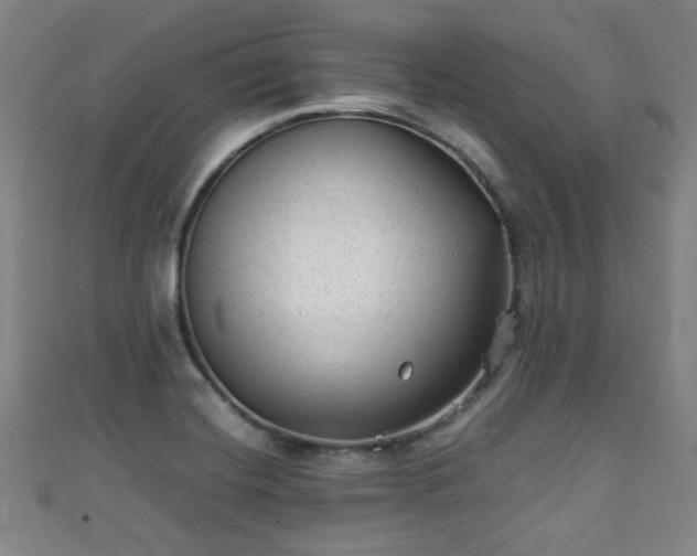 X0000111351420200907171134