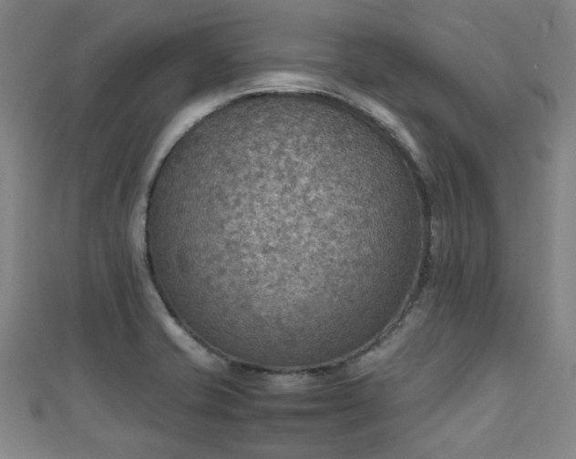 X0000111351421200907171134