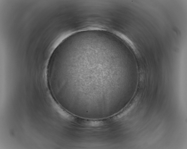 X0000111351423200907171134