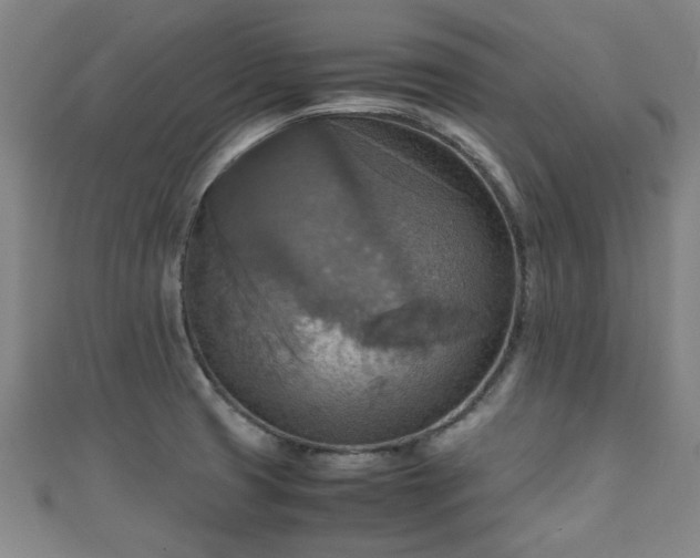 X0000111351425200907171134