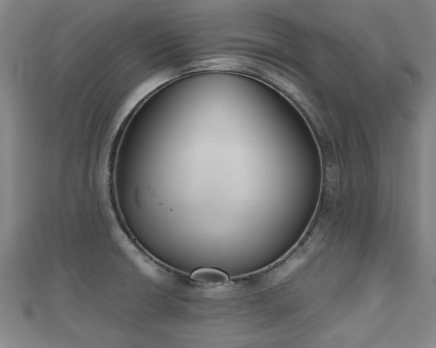 X0000111351426200907171134