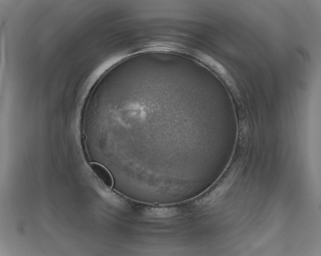 X0000111351427200907171134