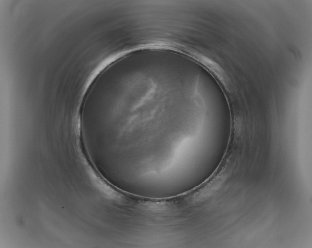 X0000111351428200907171134