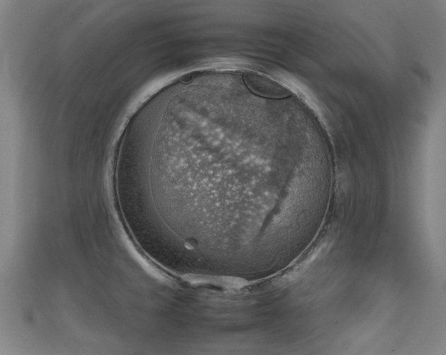 X0000111351429200907171134