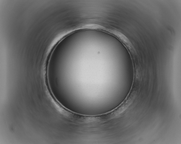 X0000111351430200907171134