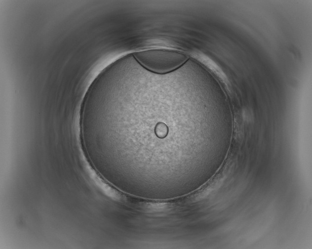 X0000111351431200907171134