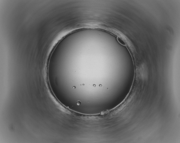 X0000111351432200907171134