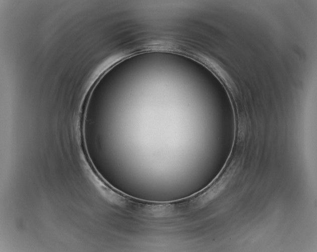 X0000111351434200907171134