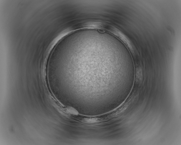 X0000111351435200907171134