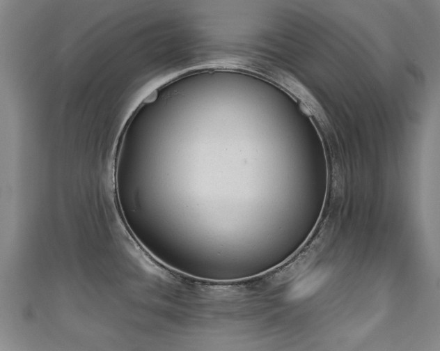 X0000111351436200907171134