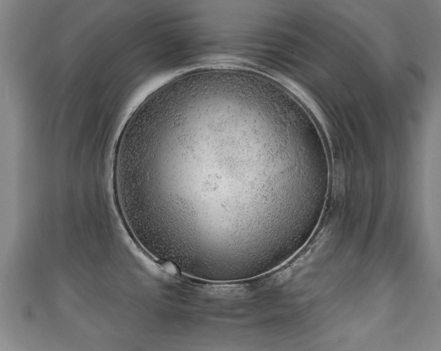 X0000111351437200907171134