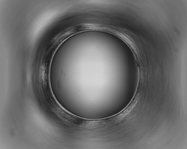 X0000111351438200907171134