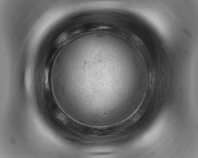 X0000111351439200907171134