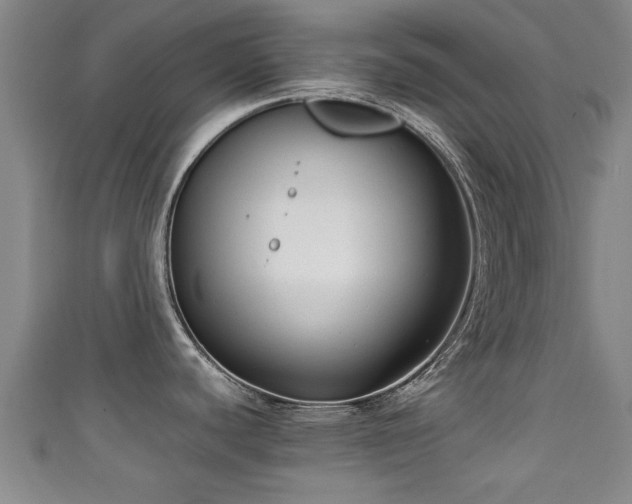 X0000111351440200907171134