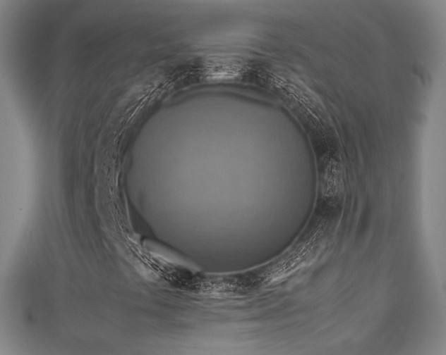 X0000111351441200907171133