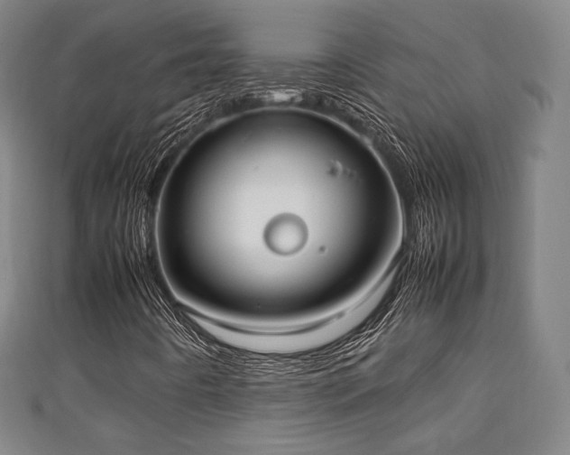 X0000111351442200907171133