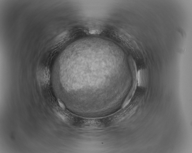 X0000111351443200907171133