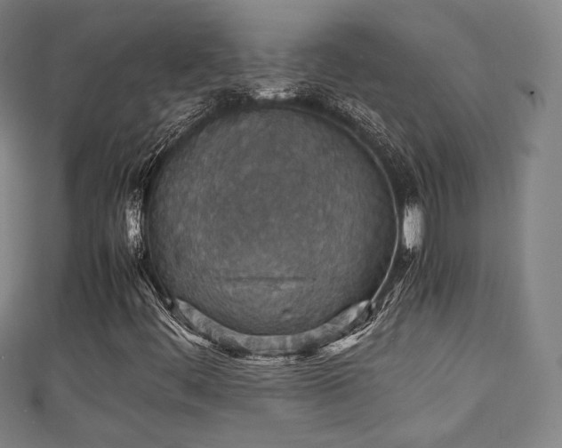 X0000111351444200907171133