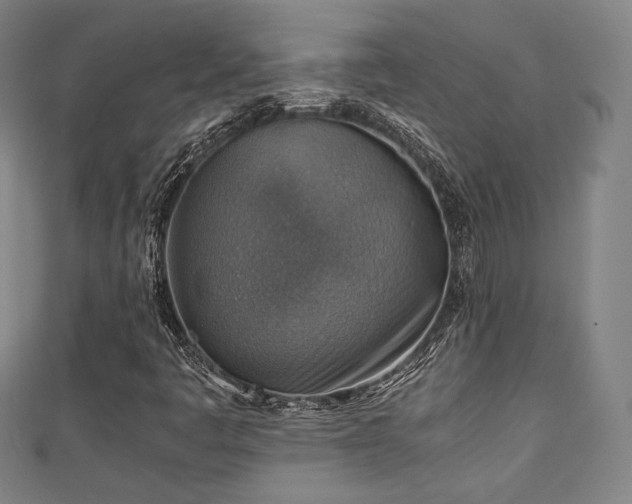 X0000111351445200907171133