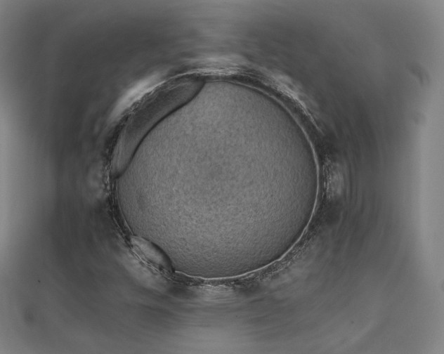 X0000111351448200907171133