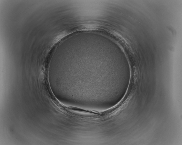 X0000111351449200907171133