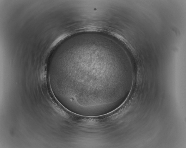 X0000111351450200907171133