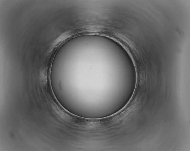 X0000111351451200907171133