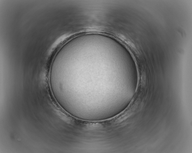 X0000111351454200907171133