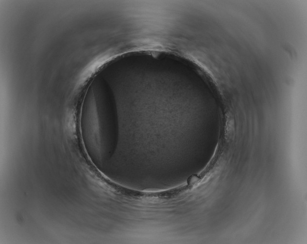 X0000111351455200907171133