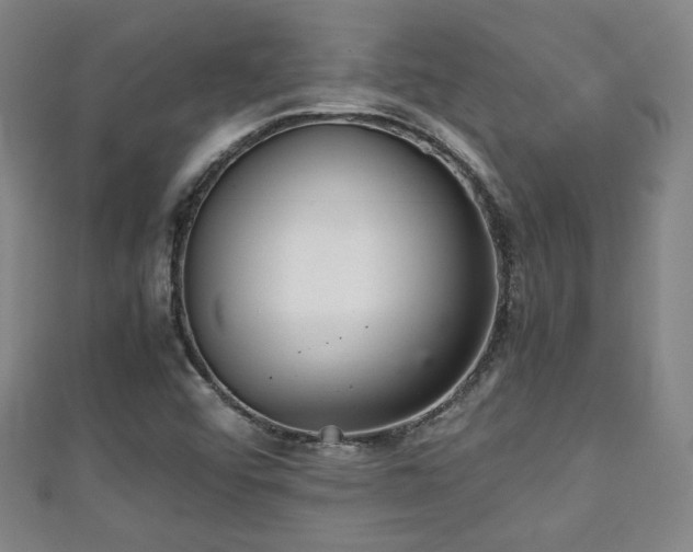 X0000111351456200907171133