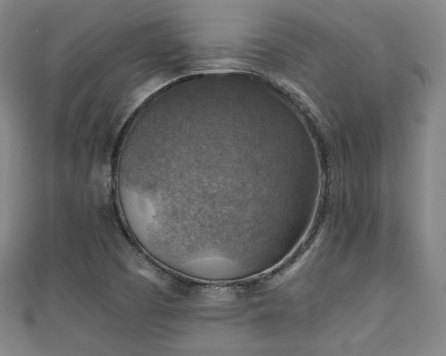 X0000111351457200907171133