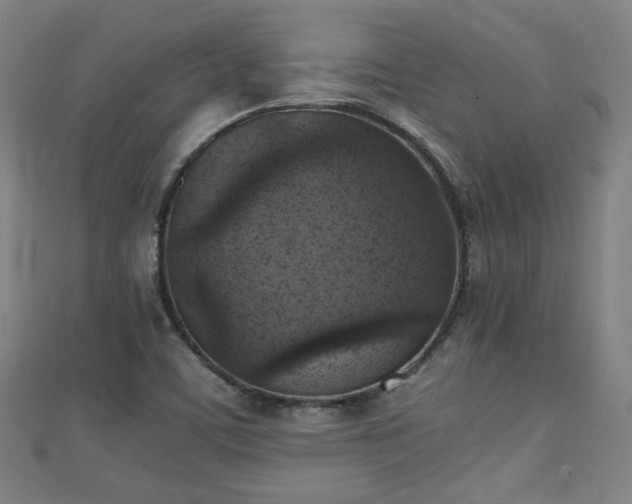 X0000111351459200907171133