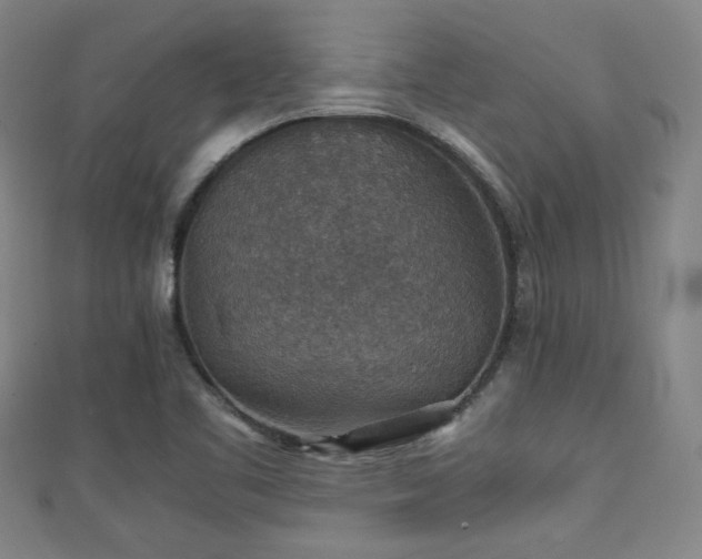 X0000111351461200907171133