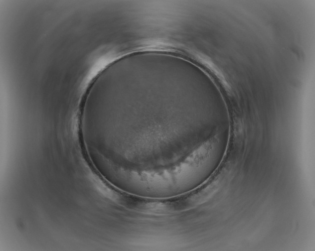 X0000111351463200907171133