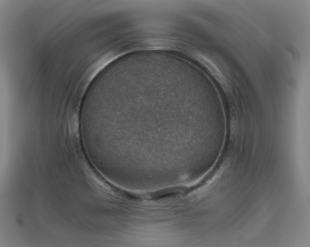 X0000111351465200907171133