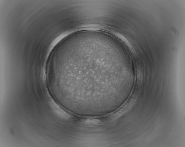 X0000111351466200907171133