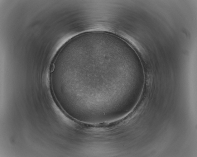 X0000111351468200907171133