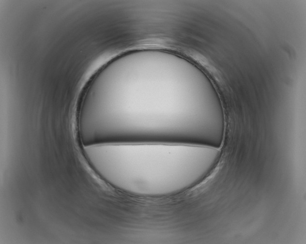 X0000111351469200907171133