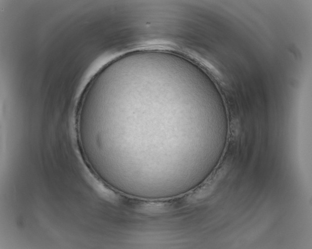 X0000111351470200907171133