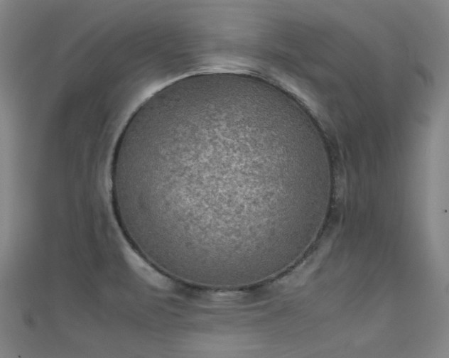 X0000111351471200907171133